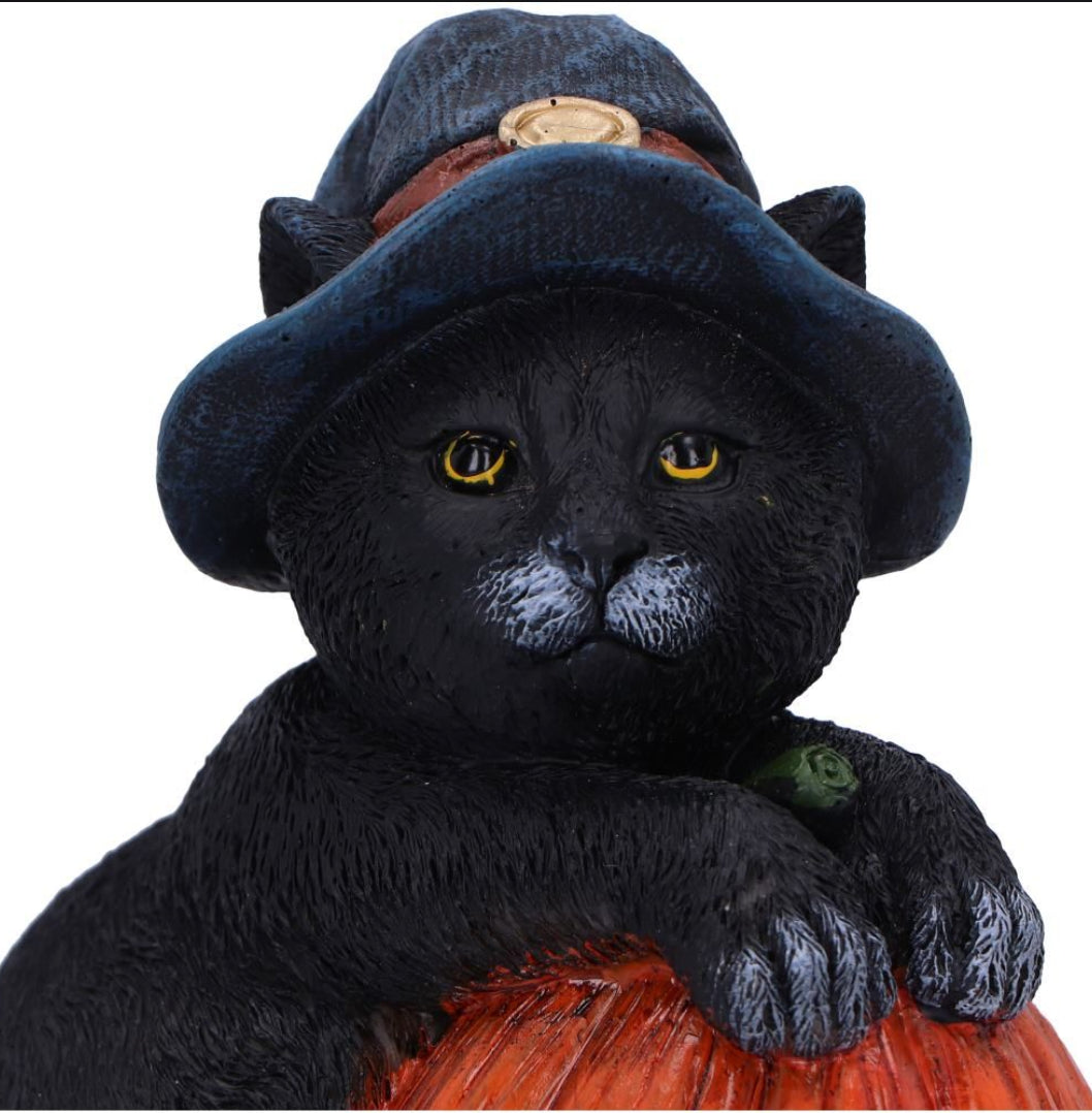 Trick or Treat Black Cat & Pumpkin Figurine 13cm | Nemesis Now