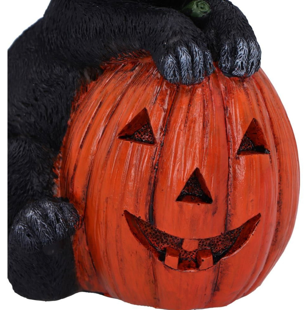 Trick or Treat Black Cat & Pumpkin Figurine 13cm | Nemesis Now