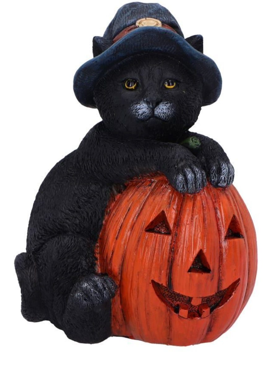 Trick or Treat Black Cat & Pumpkin Figurine 13cm | Nemesis Now