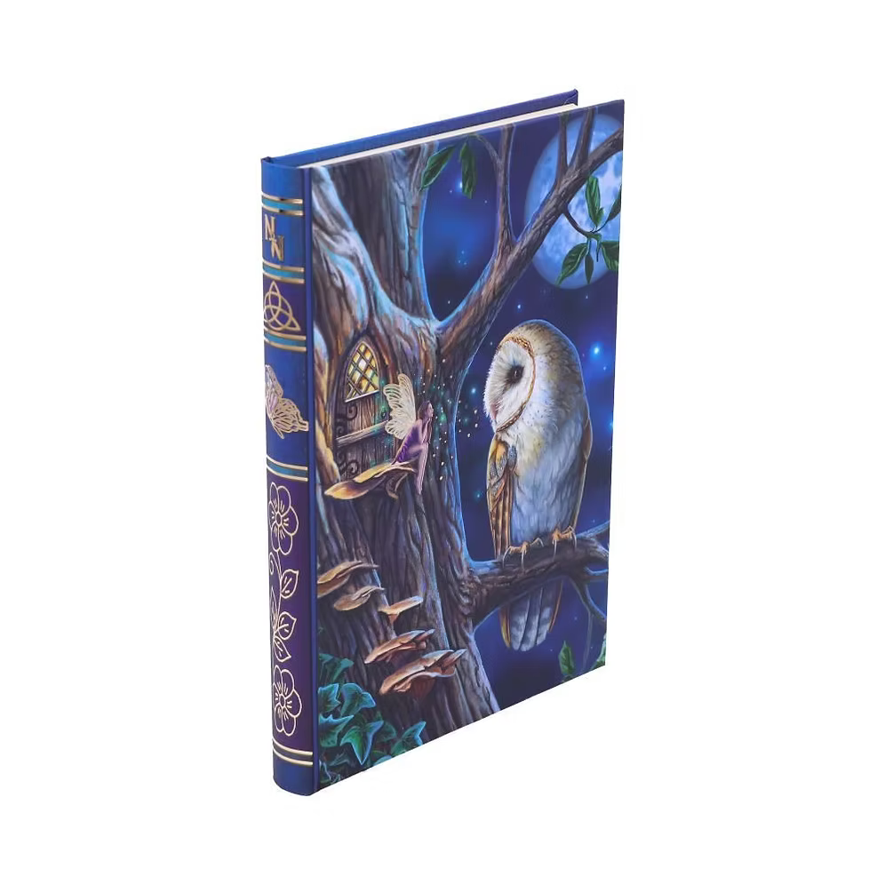 Lisa Parker Fairy Tales Owl & Fairy Journal 17cm – Nemesis Now