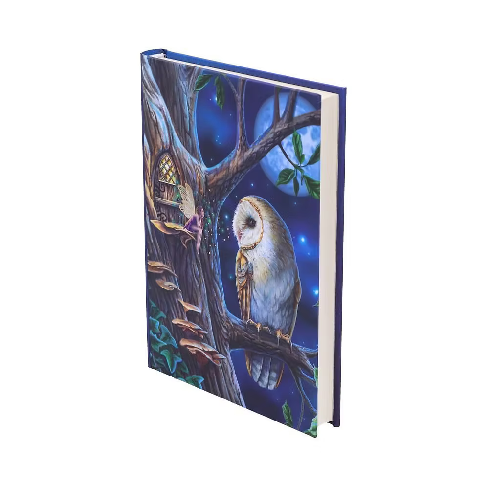 Lisa Parker Fairy Tales Owl & Fairy Journal 17cm – Nemesis Now