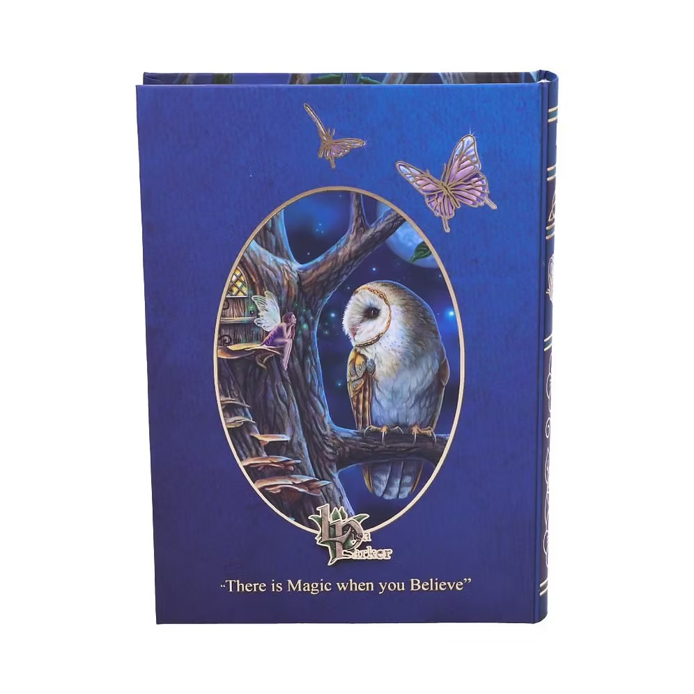 Lisa Parker Fairy Tales Owl & Fairy Journal 17cm – Nemesis Now