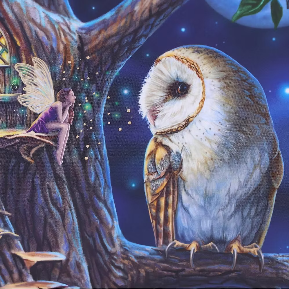 Lisa Parker Fairy Tales Owl & Fairy Journal 17cm – Nemesis Now
