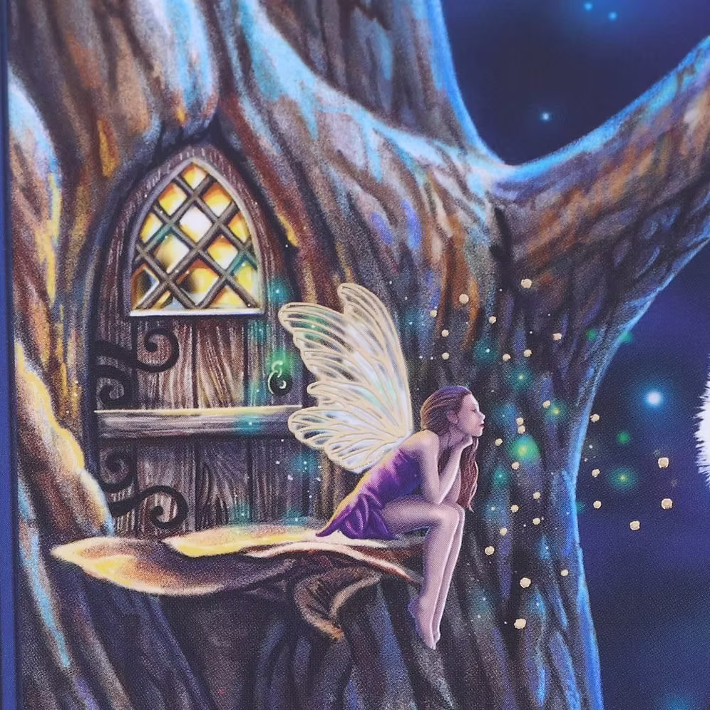 Lisa Parker Fairy Tales Owl & Fairy Journal 17cm – Nemesis Now