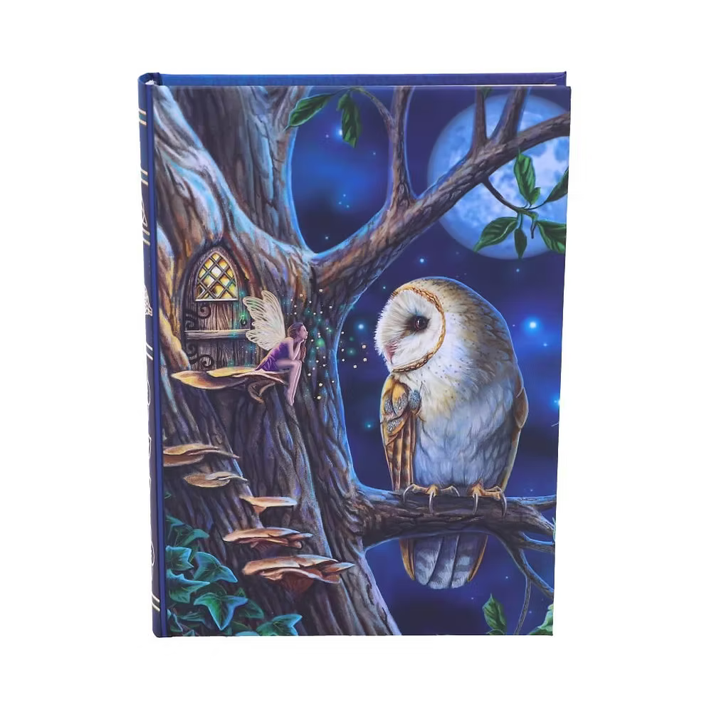 Lisa Parker Fairy Tales Owl & Fairy Journal 17cm – Nemesis Now