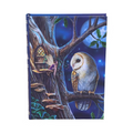 Lisa Parker Fairy Tales Owl & Fairy Journal 17cm – Nemesis Now