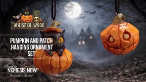 Pumpkin and Patch Halloween Hanging Ornaments Set of 2 – Officially Licensed