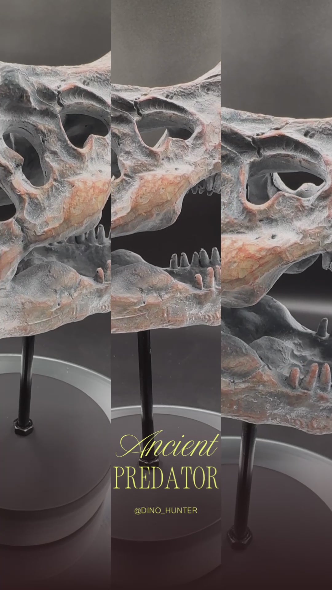 Tyrannosaurus Rex Skull on Plinth | Fossil Resin Sculpture | 24.2cm | Nemesis Now