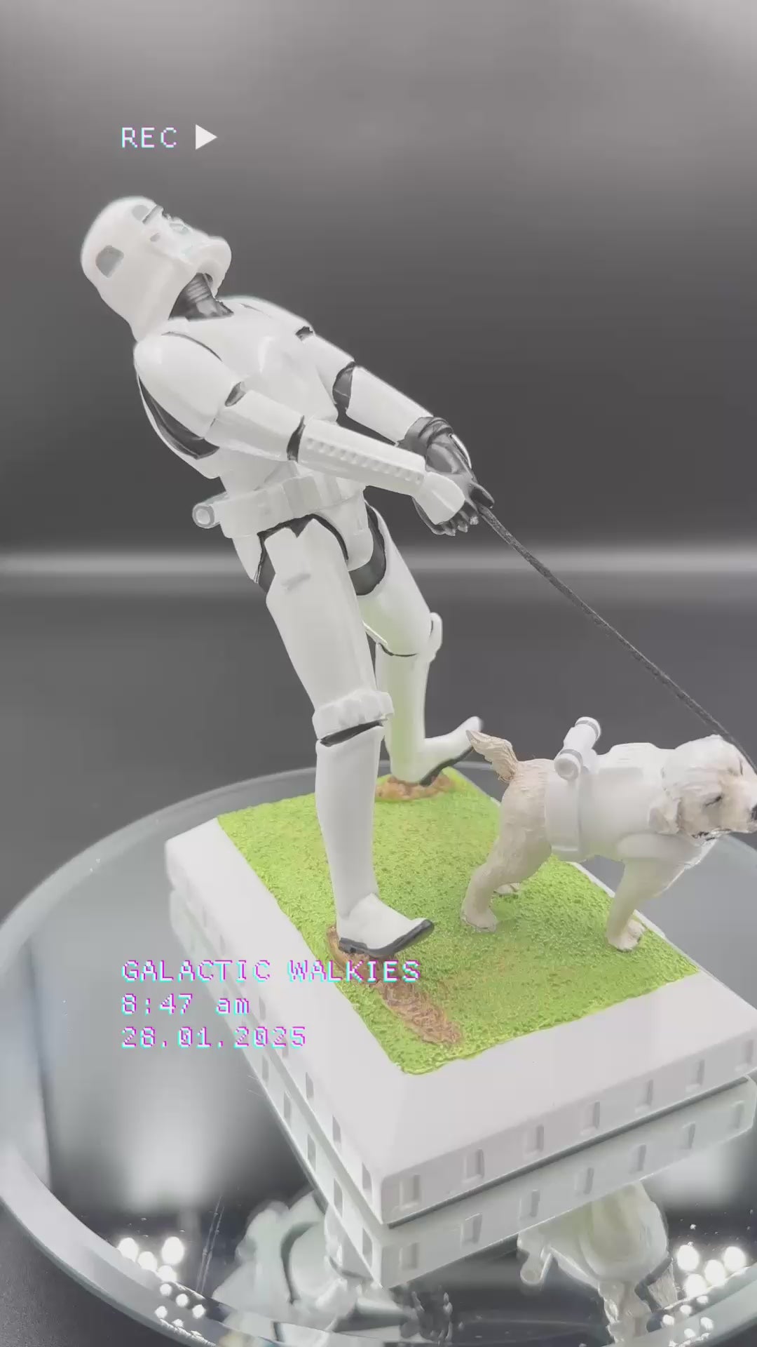 Stormtrooper Mans Best Friend 15.5cm