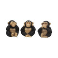 Nemesis Now Three Wise Chimp Figurines – 8cm Set of 3