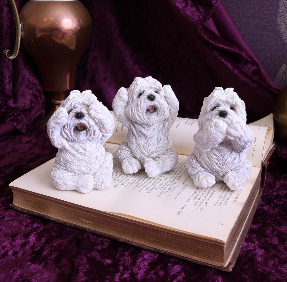 Nemesis Now Three Wise Westies Figurine Set – 8cm