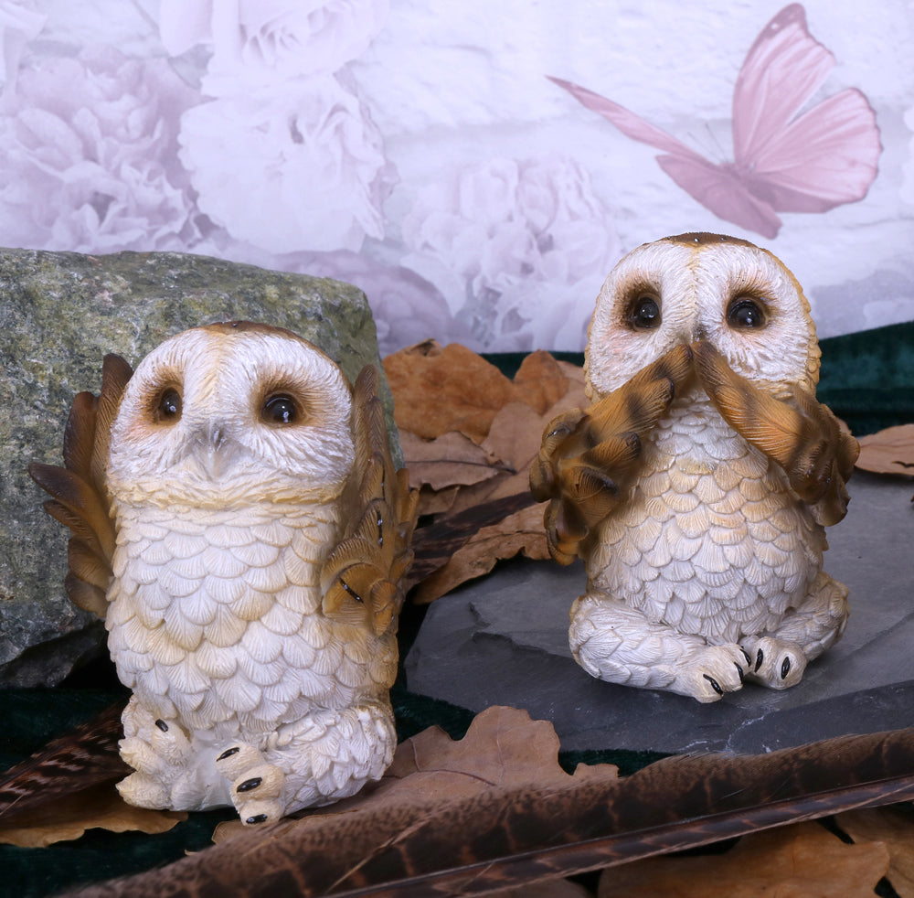 Three Wise Brown Owl Figurine Set, 7.5cm | Nemesis Now