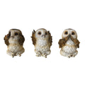 Three Wise Brown Owl Figurine Set, 7.5cm | Nemesis Now