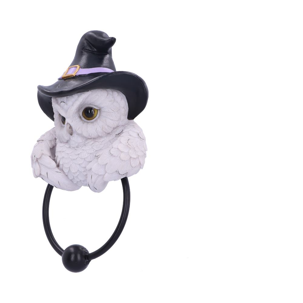 Snowy Magic Owl Door Knocker with Witch Hat 21cm