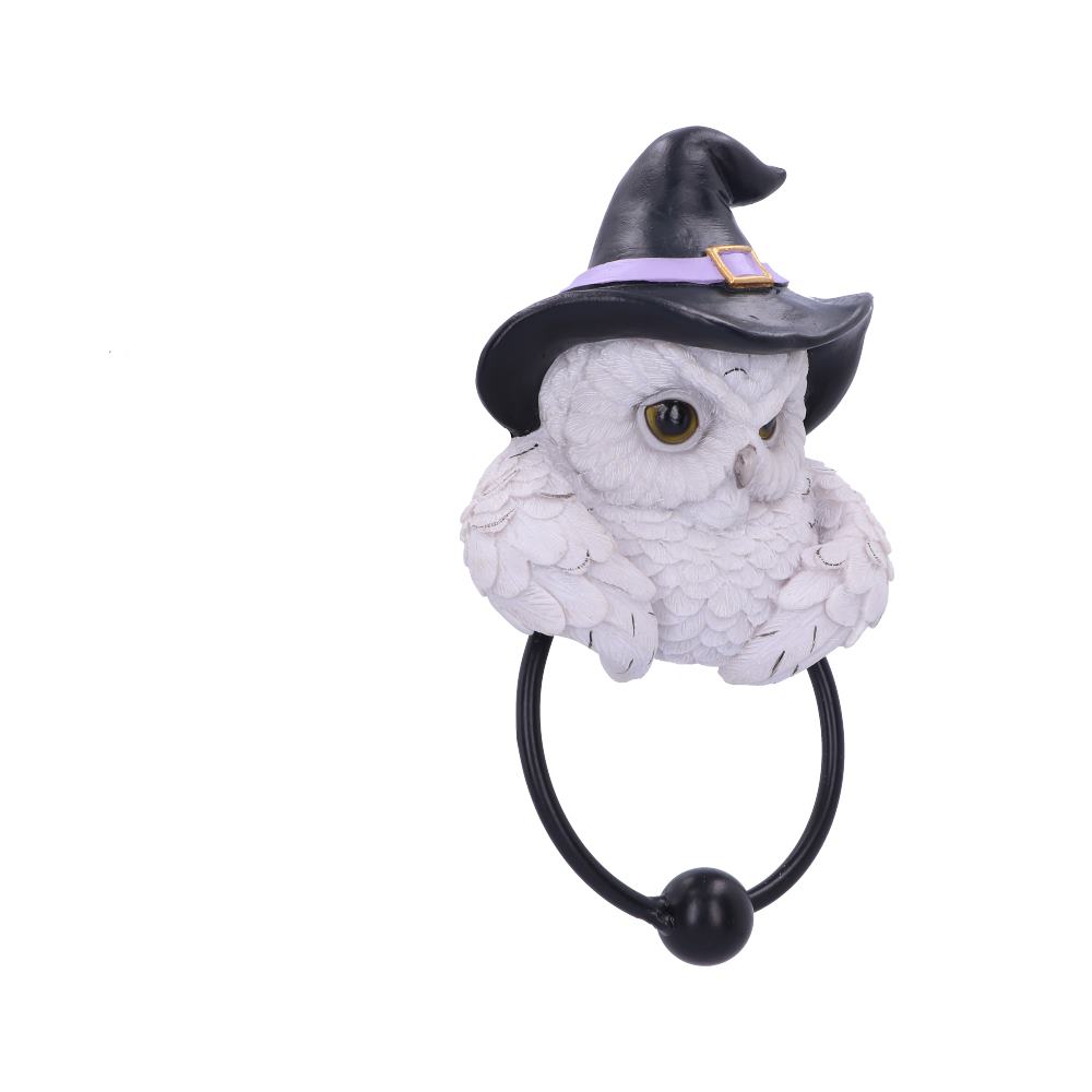 Snowy Magic Owl Door Knocker with Witch Hat 21cm