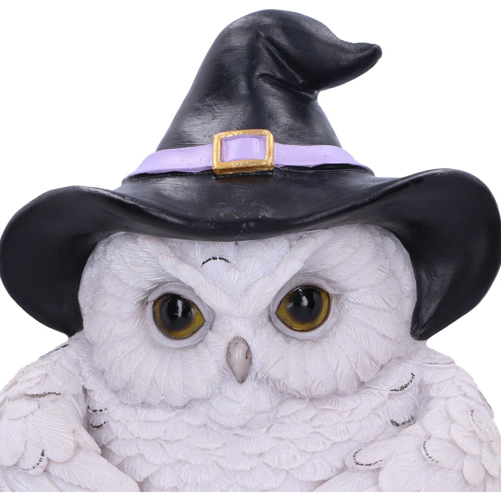 Snowy Magic Owl Door Knocker with Witch Hat 21cm