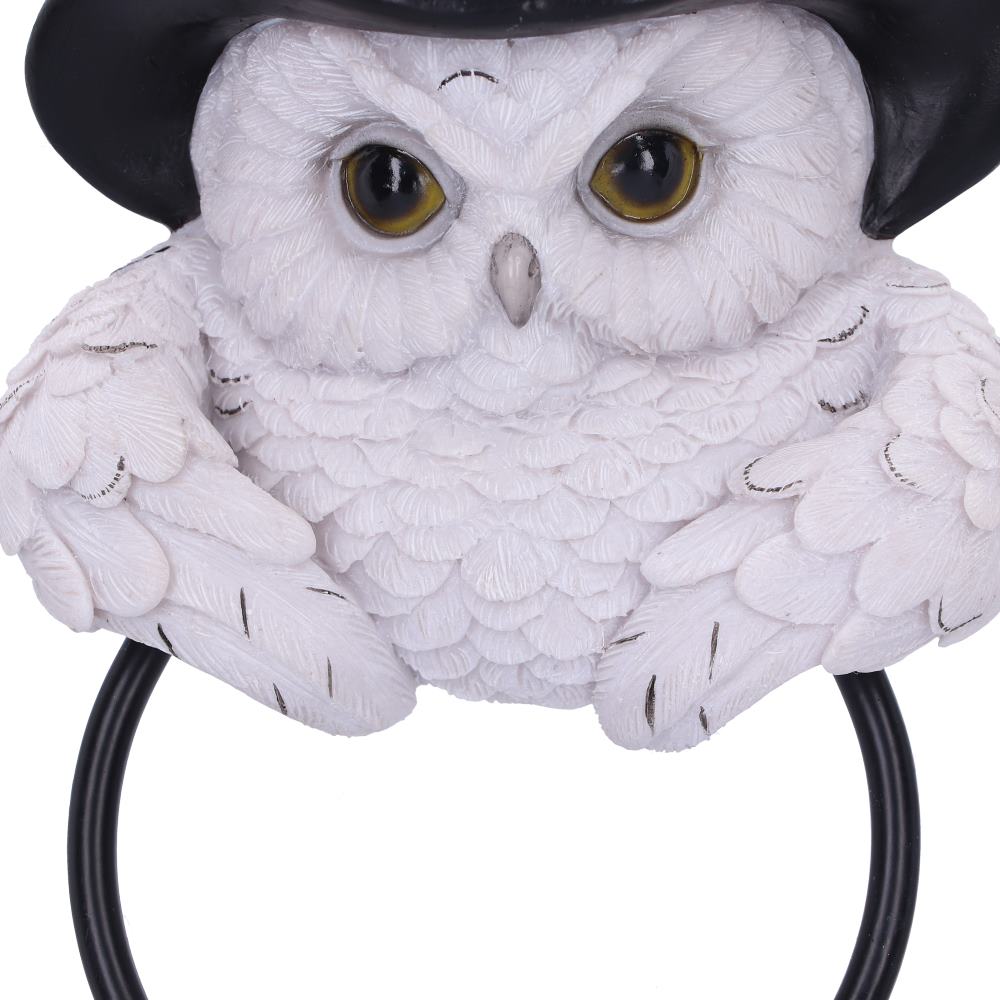 Snowy Magic Owl Door Knocker with Witch Hat 21cm
