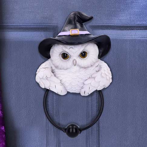 Snowy Magic Owl Door Knocker with Witch Hat 21cm