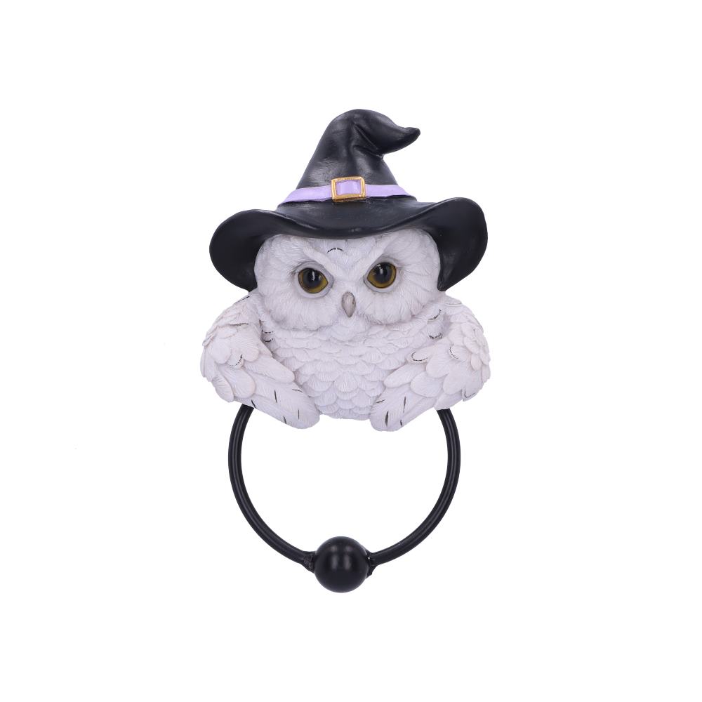 Snowy Magic Owl Door Knocker with Witch Hat 21cm