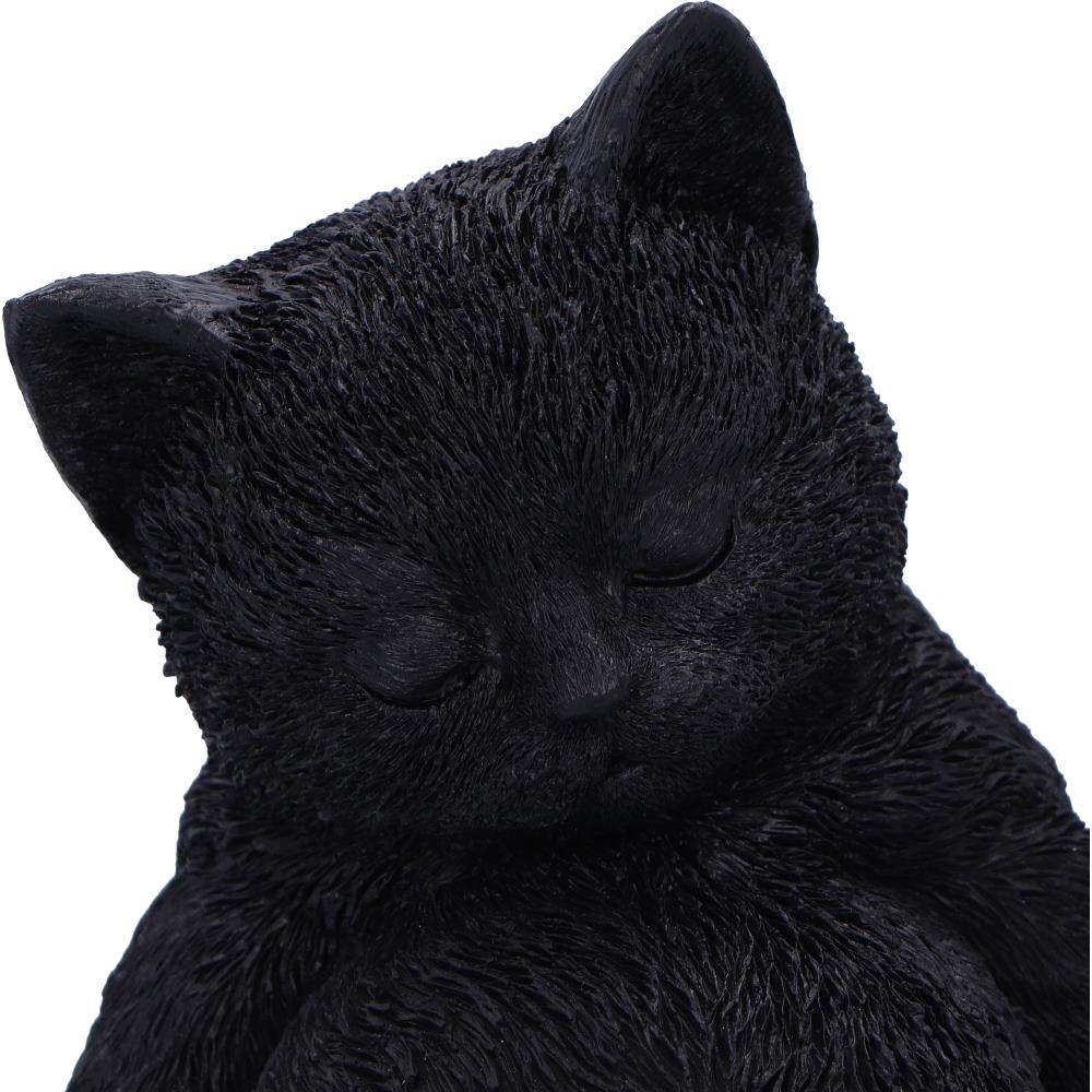 Daydream Sleeping Black Cat Figurine 13cm | Nemesis Now