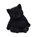Daydream Sleeping Black Cat Figurine 13cm | Nemesis Now