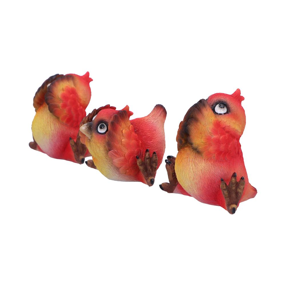 Three Wise Red Bird Figurine Set, 9.8cm | Nemesis Now