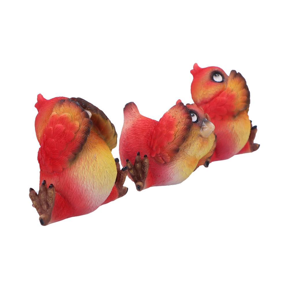 Three Wise Red Bird Figurine Set, 9.8cm | Nemesis Now
