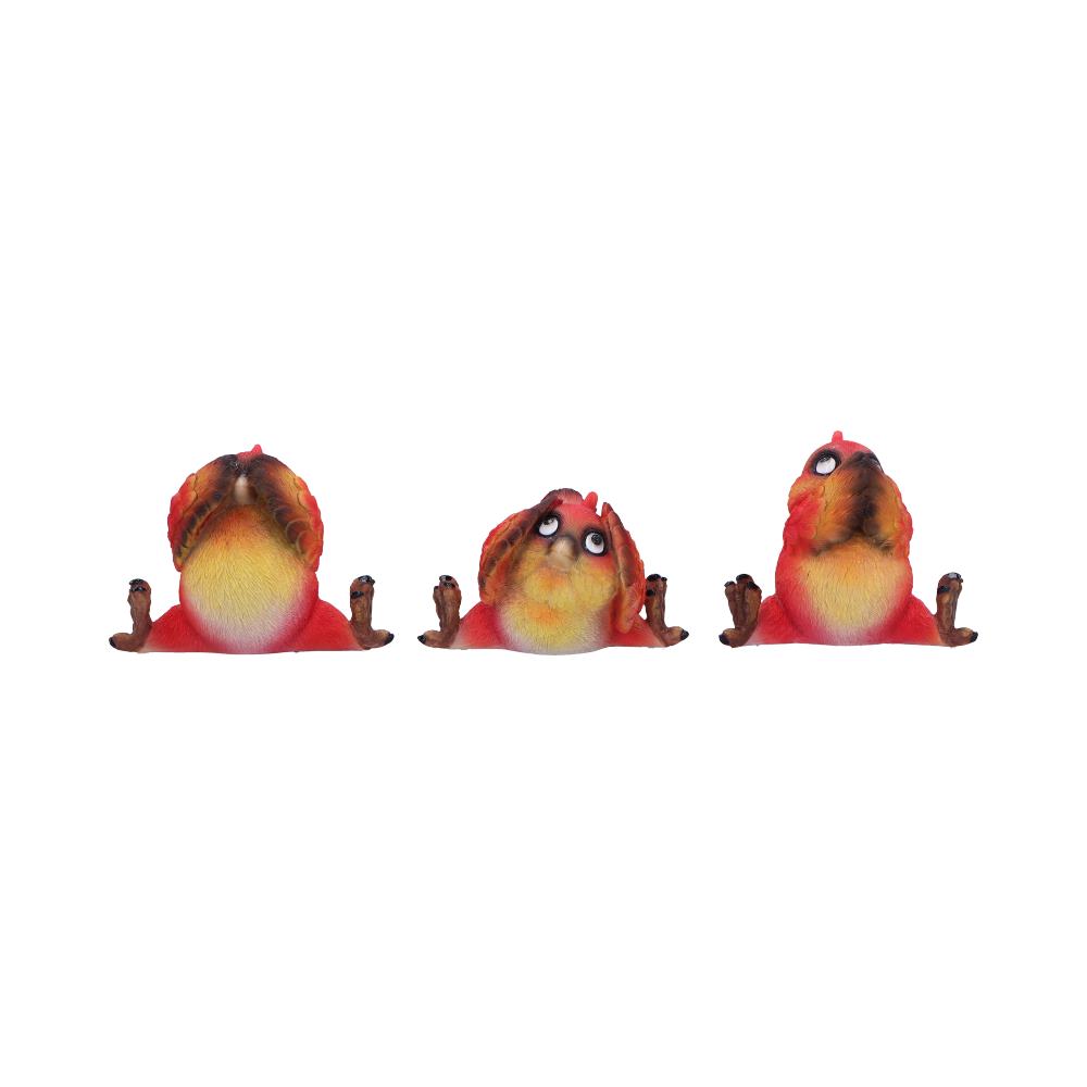 Three Wise Red Bird Figurine Set, 9.8cm | Nemesis Now
