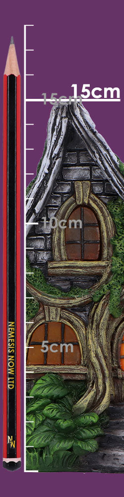 Curly Oak Manor LED Light-Up Fairy House 15cm – Nemesis Now