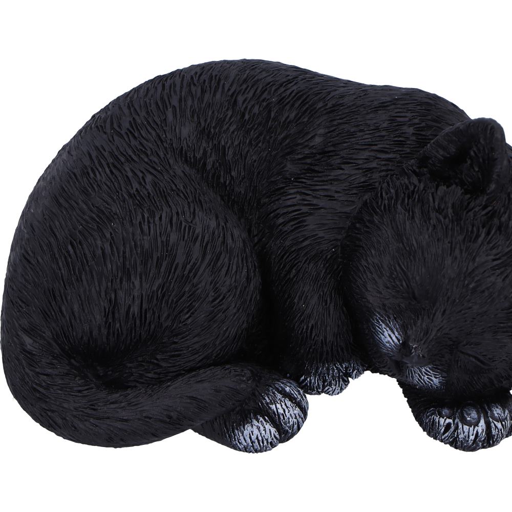 Feline Dream Sleeping Black Cat Figurine 11.3cm | Nemesis Now