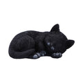 Feline Dream Sleeping Black Cat Figurine 11.3cm | Nemesis Now
