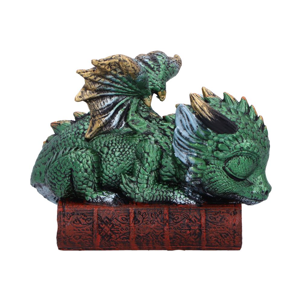 Where Dragons Dream Sleeping Green Dragon on Spellbook Figurine – Nemesis Now