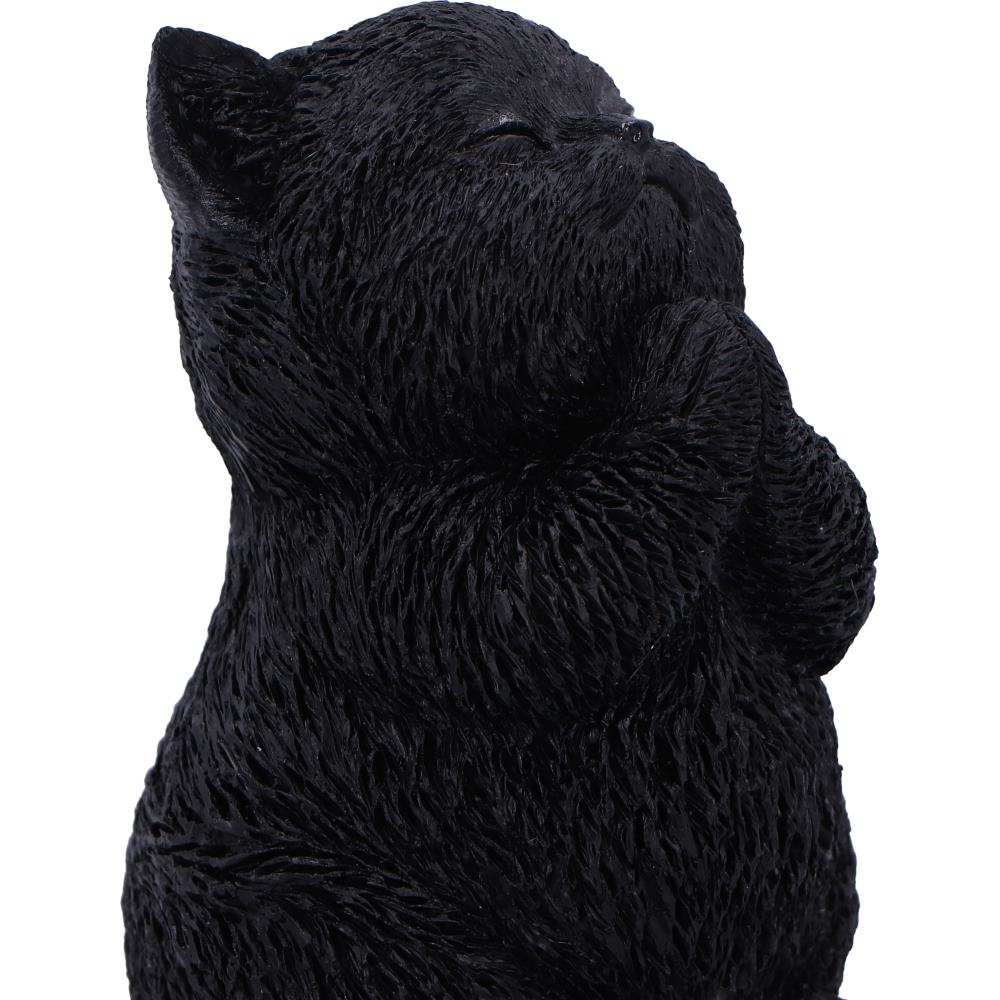 Whisker Wish Black Cat Figurine 8.5cm | Nemesis Now