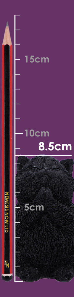 Whisker Wish Black Cat Figurine 8.5cm | Nemesis Now
